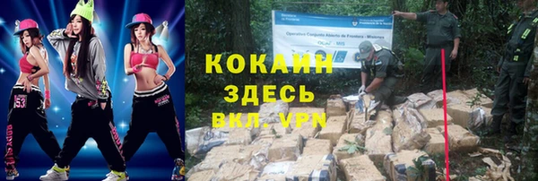 дживик Осташков